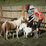 Alojamento de Turismo Rural Zeiserhof Ramsau am Dachstein