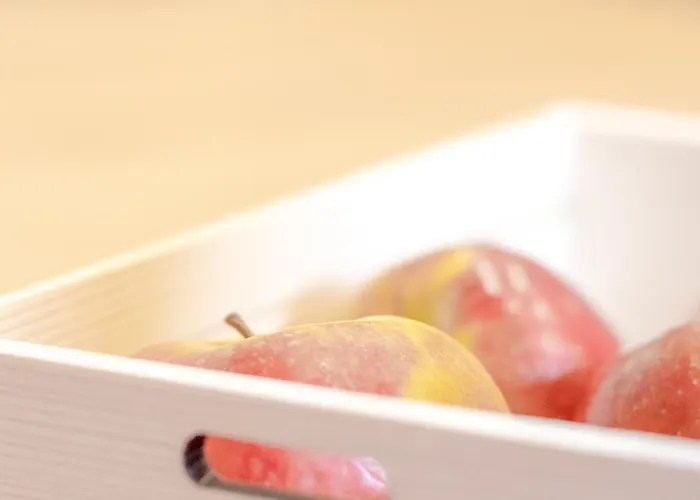 Zeiserhof * Ramsau am Dachstein