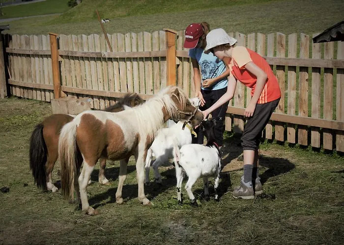 Farm stay Zeiserhof Ramsau am Dachstein